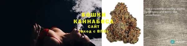 спиды Богородск