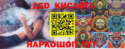 гашик Аргун