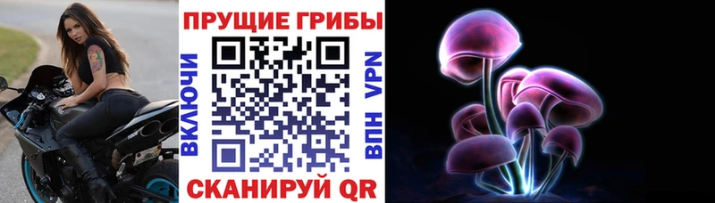 Галлюциногенные грибы Psilocybine cubensis Белая Калитва